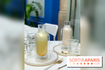 Maison Gazelle - été 2020