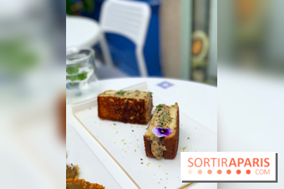 Maison Gazelle - été 2020