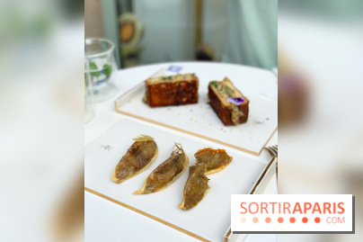 Maison Gazelle - été 2020