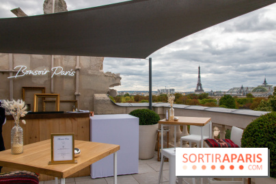 Le Rooftop secret de l'Hôtel de Crillon 