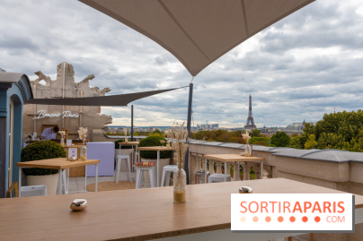 Le Rooftop secret de l'Hôtel de Crillon 
