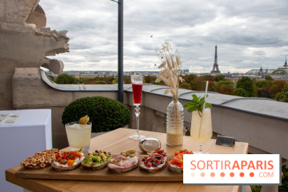Le Rooftop secret de l'Hôtel de Crillon - Cocktail Tartine