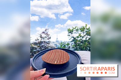 Photos Mun Rooftop Champs-Elysées