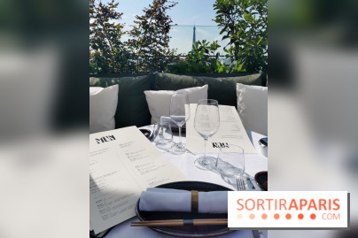 Photos Mun Rooftop Champs-Elysées