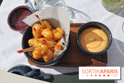 Photos Mun Rooftop Champs-Elysées