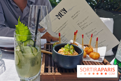 Photos Mun Rooftop Champs-Elysées