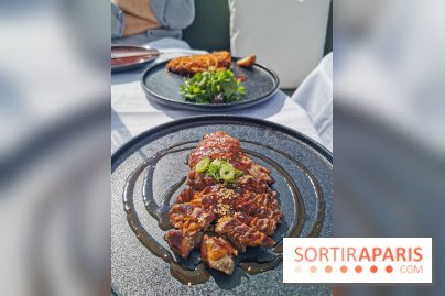 Photos Mun Rooftop Champs-Elysées