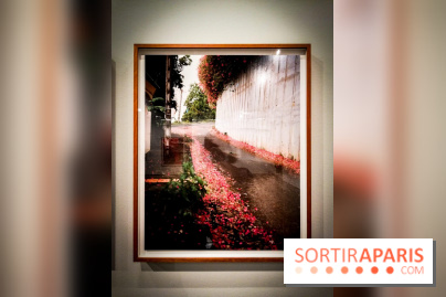 Soleil cou coupé, l'expo photo de Gregory Halpern à la Fondation Henri Cartier-Bresson