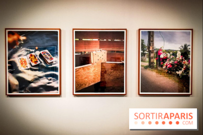 Soleil cou coupé, l'expo photo de Gregory Halpern à la Fondation Henri Cartier-Bresson