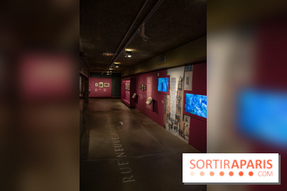 Notre-Dame de Paris, de Victor Hugo à Eugène Viollet-Le-Duc, l'exposition à la Crypte Archéologique