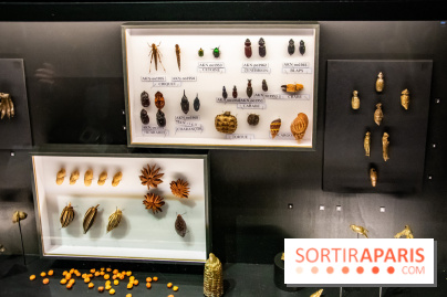 Akan, les valeurs de l'échange, l'expo à la Monnaie de Paris