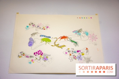 Exposition Lucy+Jorge Orta au Drawing Lab