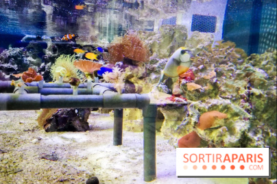 Bio-inspirée, la nouvelle expo permanente à la Cité des Sciences et de l'Industrie