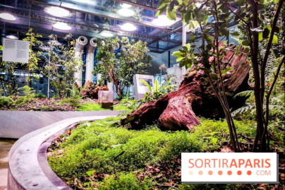 Bio-inspirée, la nouvelle expo permanente à la Cité des Sciences et de l'Industrie