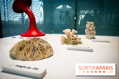 Bio-inspirée, la nouvelle expo permanente à la Cité des Sciences et de l'Industrie