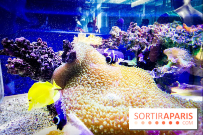 Bio-inspirée, la nouvelle expo permanente à la Cité des Sciences et de l'Industrie