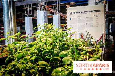 Bio-inspirée, la nouvelle expo permanente à la Cité des Sciences et de l'Industrie