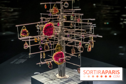 Photos Exposition Pierres Précieuses, du minéraux aux bijoux avec le Joaillier Van Cleef & Arpel vue