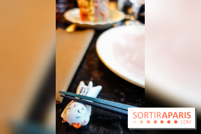 Onii–San à Paris, les photos 