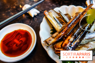 Onii–San à Paris, les photos 