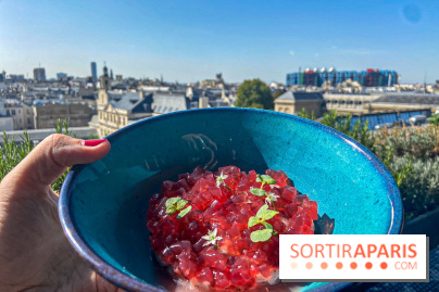 Au_Top, le restaurant rooftop gourmand