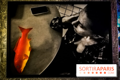 Mythologies du poisson rouge, l'exposition de l'Appart Renoma, nos photos