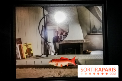 Mythologies du poisson rouge, l'exposition de l'Appart Renoma, nos photos