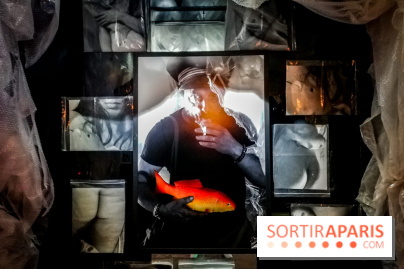 Mythologies du poisson rouge, l'exposition de l'Appart Renoma, nos photos