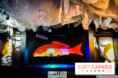 Mythologies du poisson rouge, l'exposition de l'Appart Renoma, nos photos