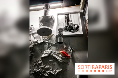 Mythologies du poisson rouge, l'exposition de l'Appart Renoma, nos photos