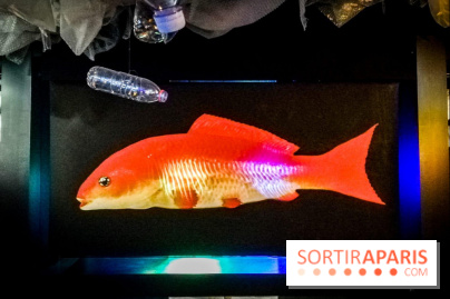 Mythologies du poisson rouge, l'exposition de l'Appart Renoma, nos photos