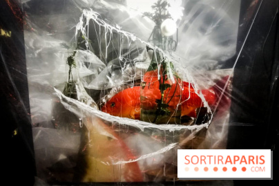 Mythologies du poisson rouge, l'exposition de l'Appart Renoma, nos photos