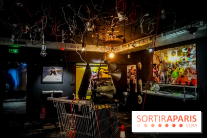 Mythologies du poisson rouge, l'exposition de l'Appart Renoma, nos photos