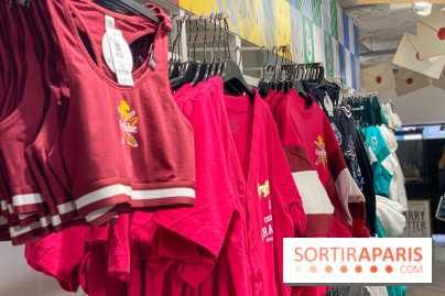 Brassière et tunique Gryffondor