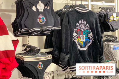 La Veste à emblème Harry Potter