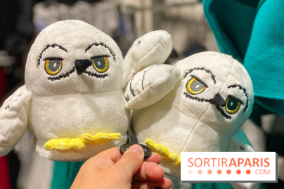 Les Chaussons Hedwige