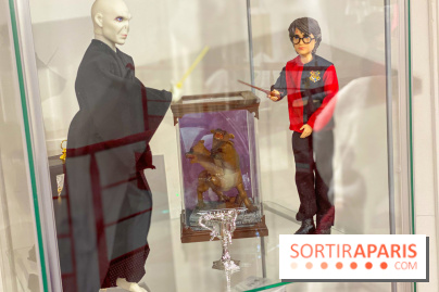 Les vitrines avec des figurines de la saga