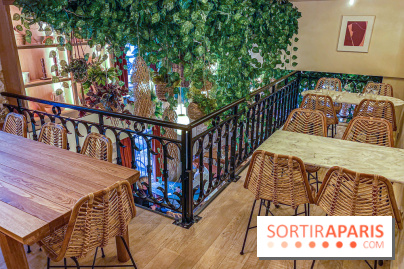 Photos : Restaurant Javette, Bistrot et Bar à Vin