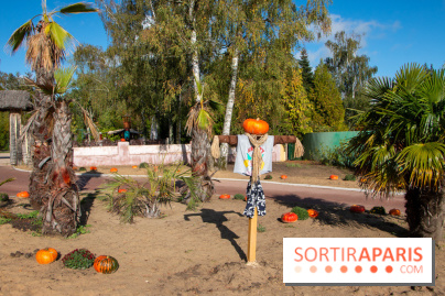 Photos : Halloween 2020 à la Mer de Sable