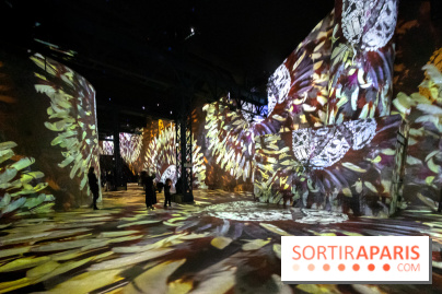 Photos : Exposition immersive Jimmy Nelson : The last sentinels à l’Atelier des Lumières 