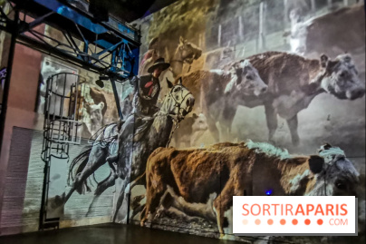 Photos : Exposition immersive Jimmy Nelson : The last sentinels à l’Atelier des Lumières 