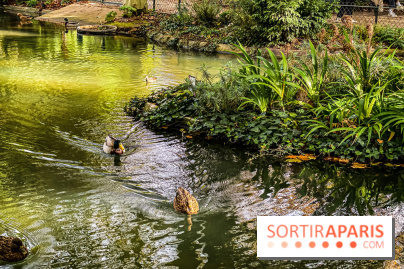 Visuel Paris Parc Monceau