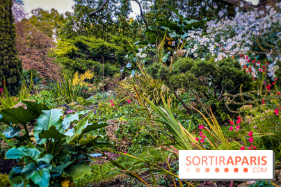 Visuel Paris Parc Monceau