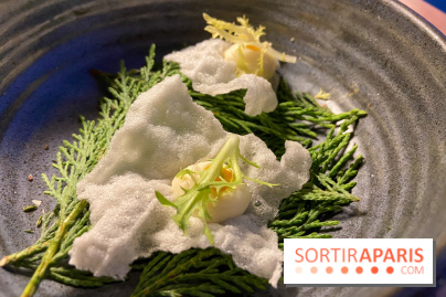 Le Domaine de la Corniche