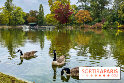 Visuel Paris, Lac Daumesnil bois de Vincennes