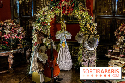 Photos : Vaux-le-vicomte en Lumières