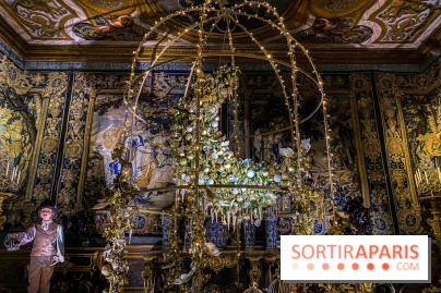 Photos : Vaux-le-vicomte en Lumières lune