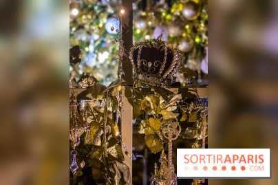 Photos : Vaux-le-vicomte en Lumières