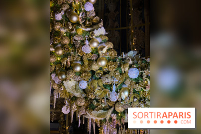 Photos : Vaux-le-vicomte en Lumières