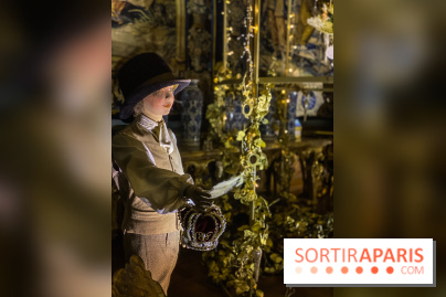 Photos : Vaux-le-vicomte en Lumières